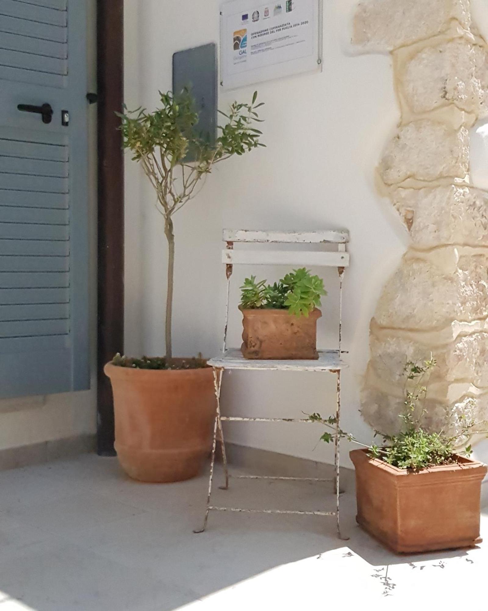 Gargara Bed And Breakfast Vico Del Gargano Extérieur photo